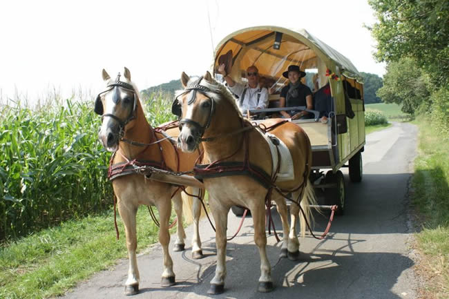 Kutsch- und Planwagenfahrten Matthias Walter, Oelde